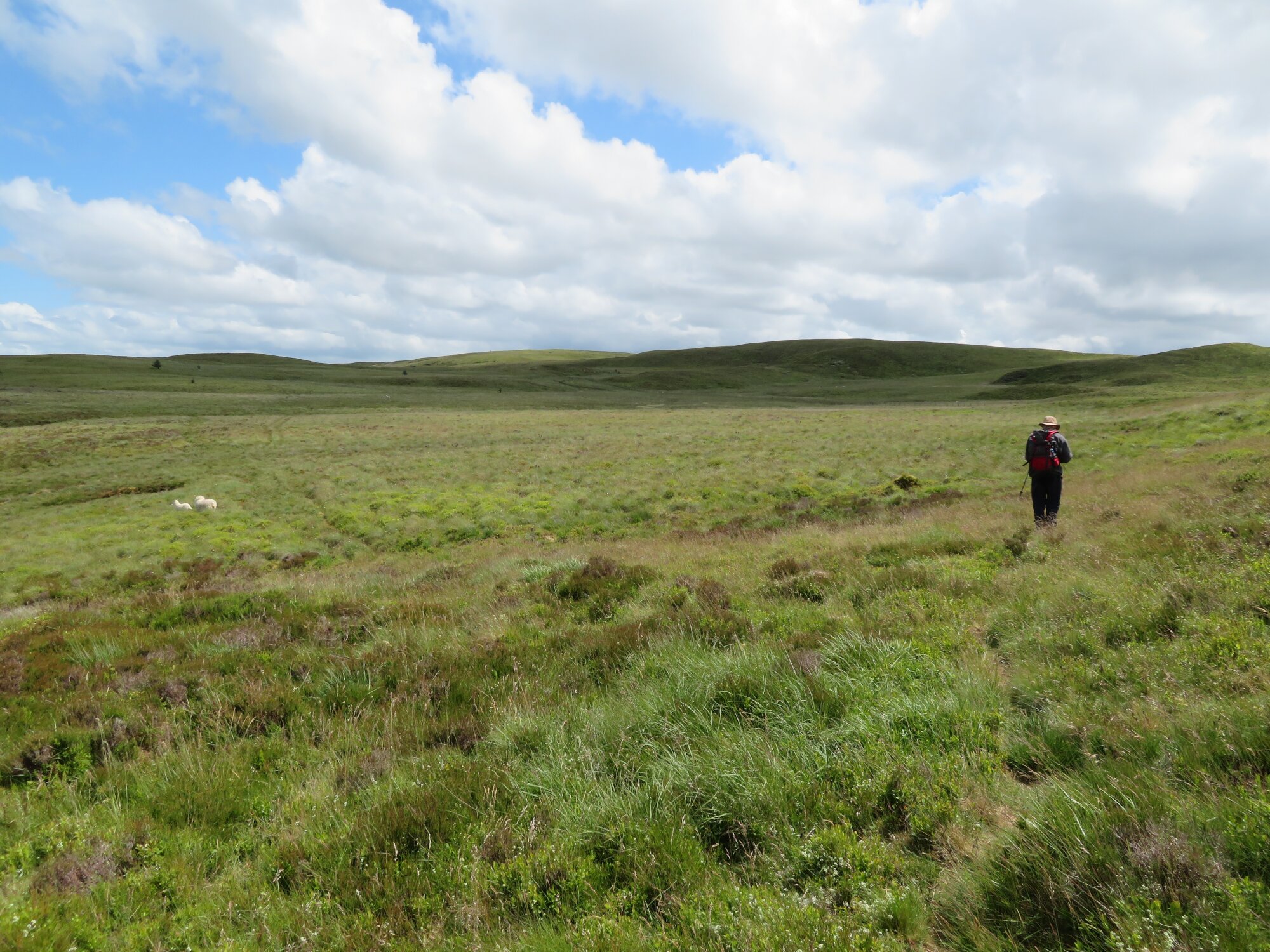RachelSeabrook.net | Wild Walking | Cwmystwyth | pic37B